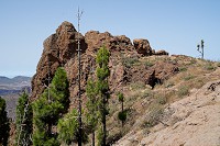 661_SS101444.jpg