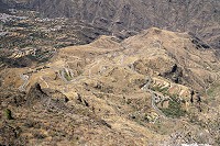 665_SS101448.jpg