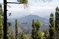 670_SS101456.jpg