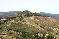 678_SS101469.jpg