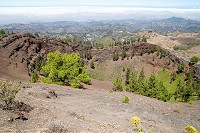 681_SS101476.jpg
