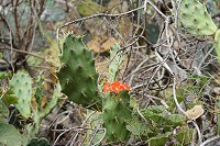 695_SS101488.jpg