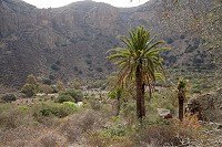 706_SS101507.jpg