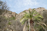 707_SS101509.jpg