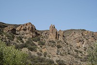 717_SS101529.jpg