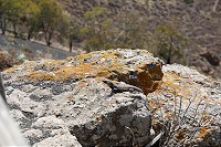 726_SS101548.jpg