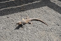 731_SS101571.jpg