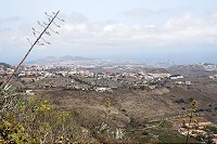 736_SS101581.jpg