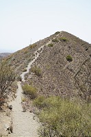 740_SS101587.jpg