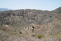 741_SS101591.jpg