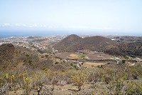 750_SS101605.jpg
