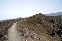 751_SS101607.jpg