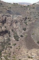 756_SS101616.jpg
