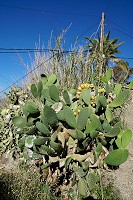 797_SS101656.jpg