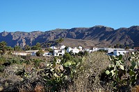 799_SS101659.jpg