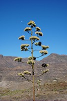 806_SS101674.jpg