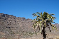 845_SS101717.jpg