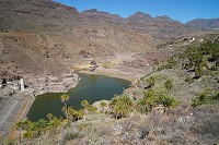 847_SS101721.jpg