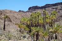 856_SS101725.jpg