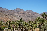 861_SS101731.jpg