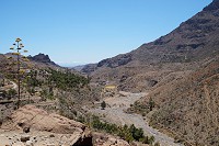 877_SS101744.jpg