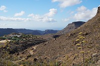 901_SS101766.jpg