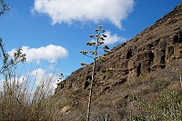 905_SS101767.jpg