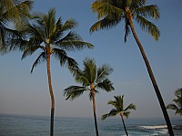 0086_IMG_0265.JPG