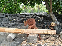 0115_M_IMG_1079.JPG