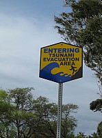0136_IMG_0399.JPG