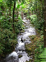 0203_IMG_0639.JPG
