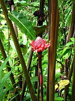 0206_IMG_0653.JPG