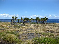0273_IMG_0850.JPG
