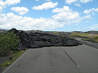 0274_M_IMG_1477.JPG
