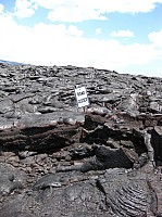0276_IMG_0853.JPG