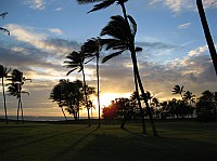 0321_IMG_1022.JPG