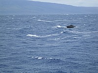 0351_IMG_1140.JPG