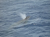 0353_M_IMG_1730.JPG