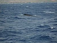 0359_M_IMG_1824.JPG