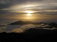0381_IMG_1338.JPG