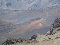 0417_IMG_1550.JPG