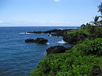 0447_IMG_1764.JPG
