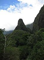 0487_IMG_1981.JPG