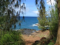0560_IMG_2209.JPG