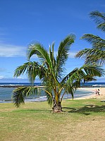 0613_IMG_2351.JPG