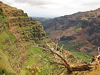 0660_IMG_2464.JPG