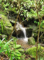 0698_IMG_2601.JPG