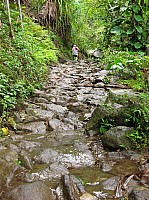 0699_IMG_2606.JPG