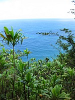 0704_IMG_2620.JPG