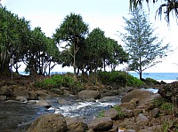 0729_IMG_2702.JPG